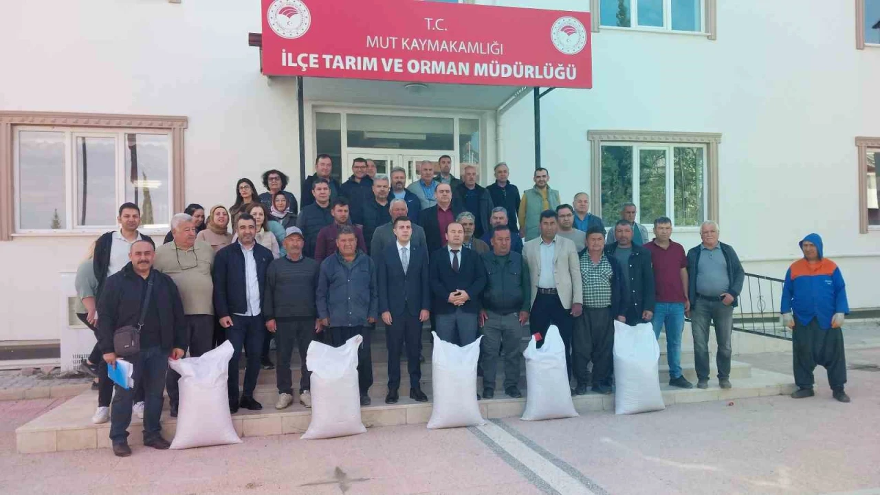 Mersin Mutta üreticiye tohum desteği