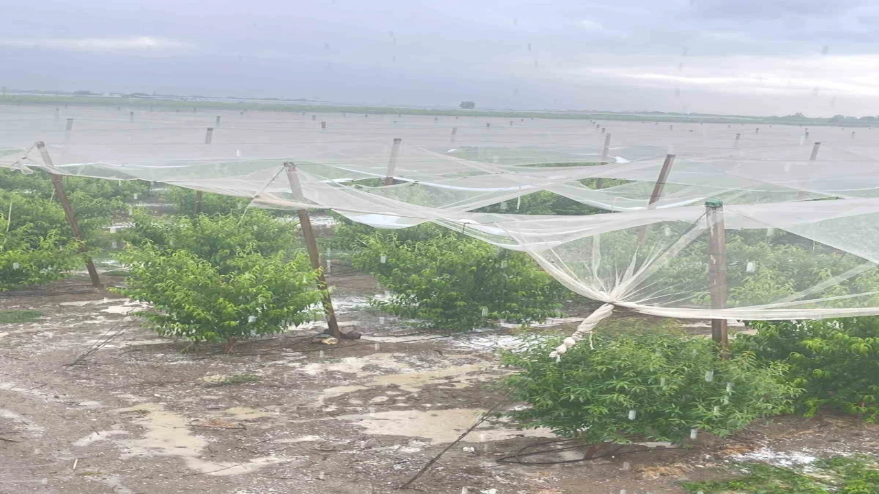 Mersinde dolu ürünlere zarar verdi