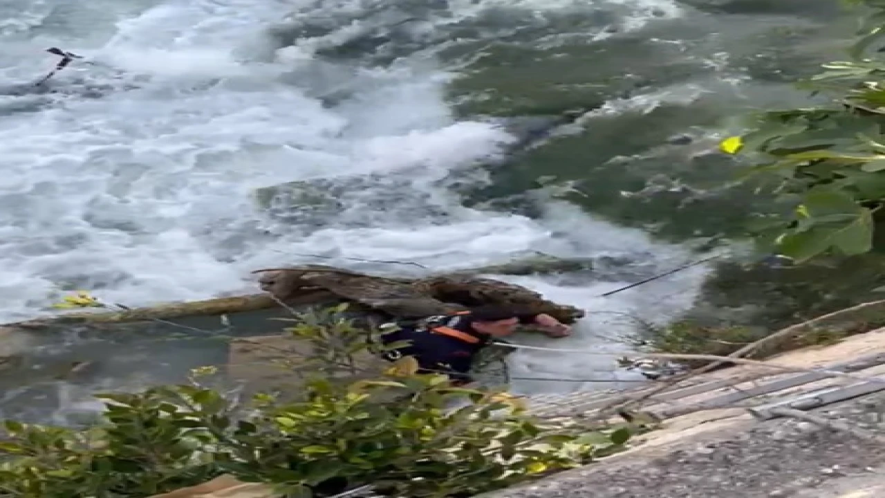 Mersinde nehre düşen telefonu itfaiye ekipleri çıkardı