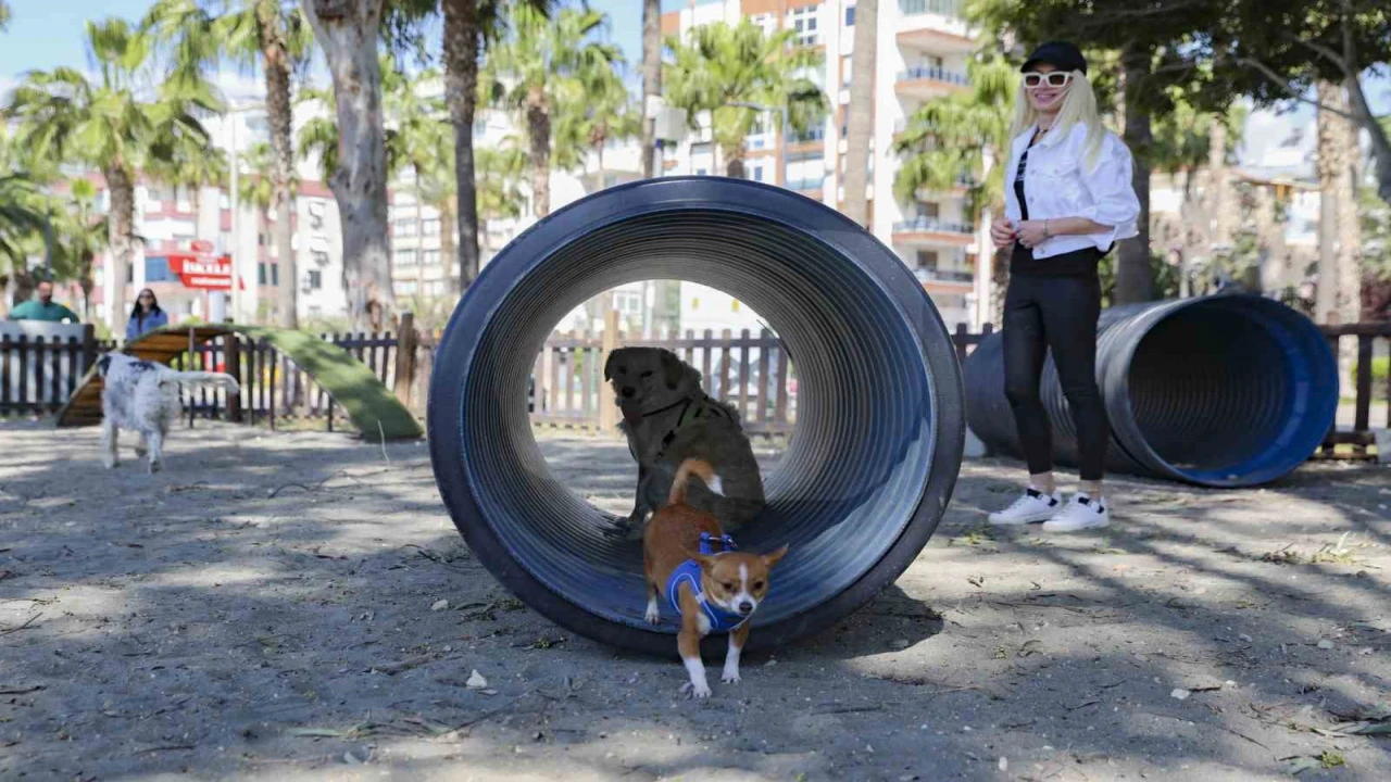 Mersinden patili dostlara özel oyun parkı