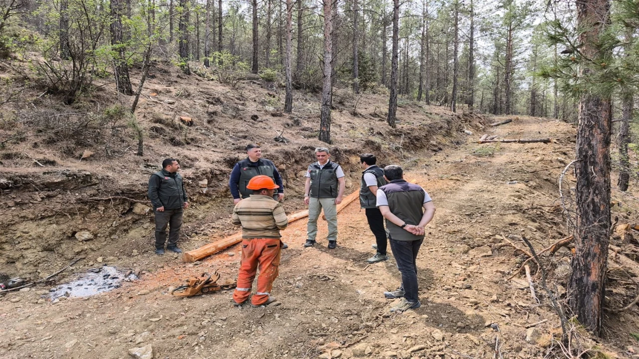 Orman Bölge Müdürü Ataş, Mutta incelemelerde bulundu