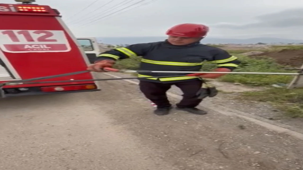 Osmaniyede elektrik panosuna giren yılanı itfaiye çıkardı