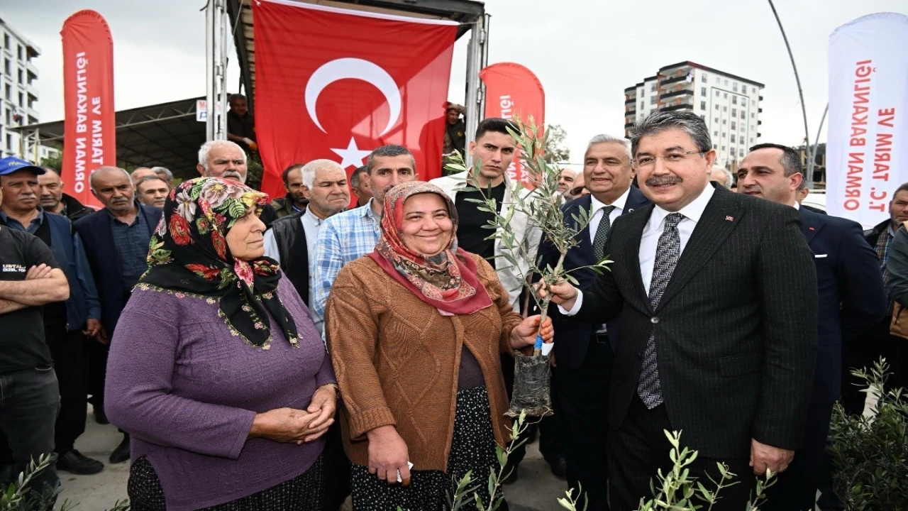 Osmaniyede üreticiye 11 bin 500 sertifikalı zeytin fidanı dağıtıldı