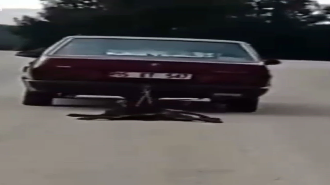 Otomobilin arkasına bağladığı köpeği sürükledi, gözaltına alındı