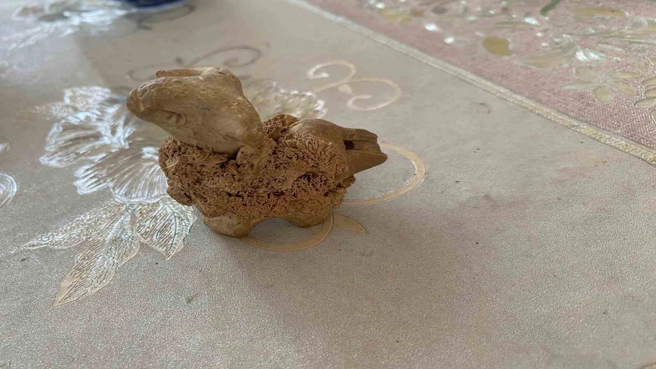 Şahruhiye Şehri Kazı Projesi sinde kazılar yeniden başlayacak