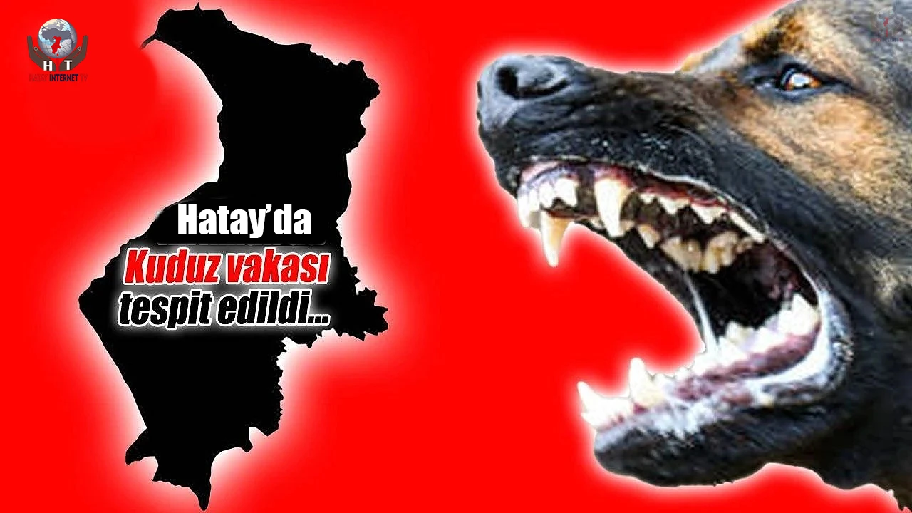 Sokak köpeğiyle boğuşarak telef olan sahipli köpekte kuduz görüldü