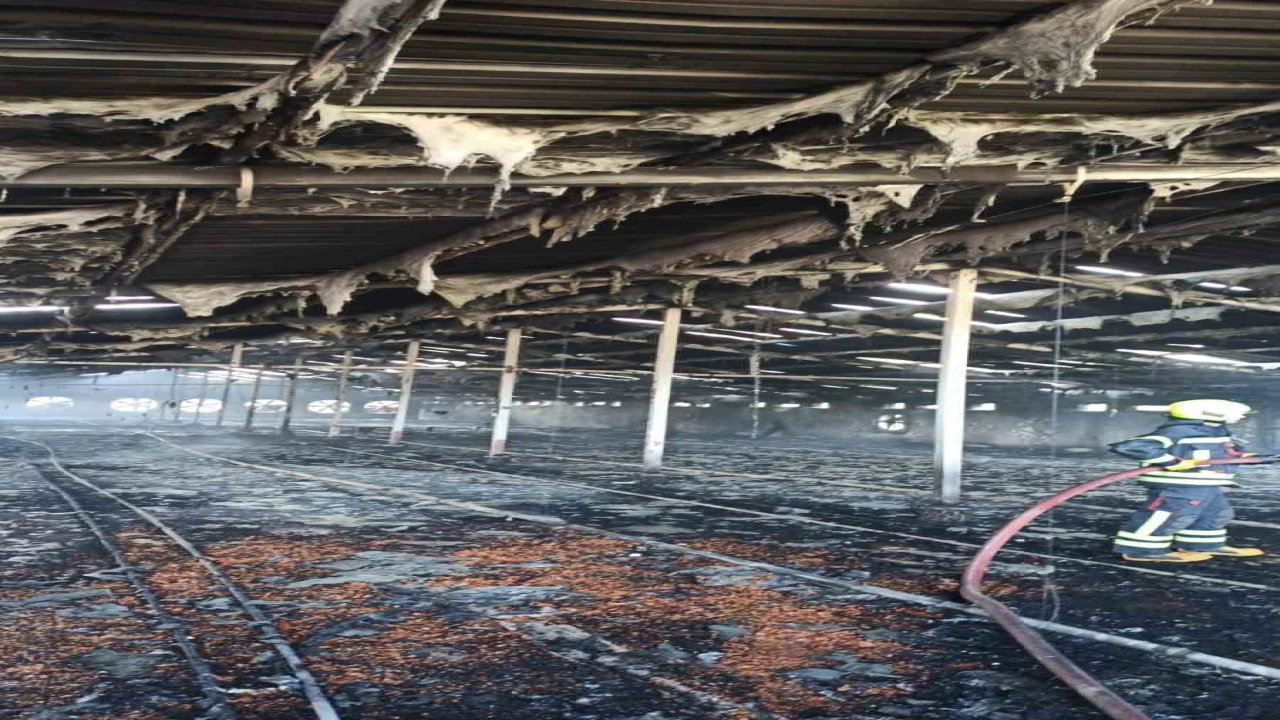 Tarsusta tavuk çiftliğinde yangın