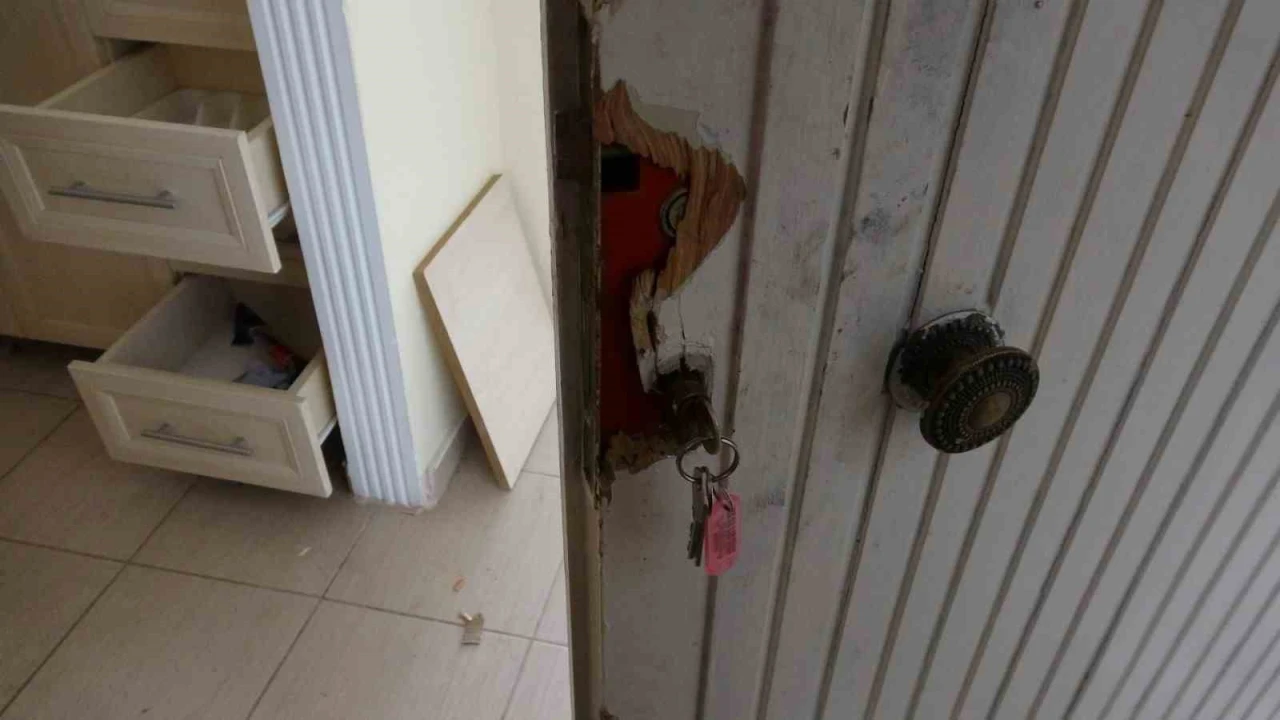 Tatil yapıp, yazlık daireleri soymuşlar