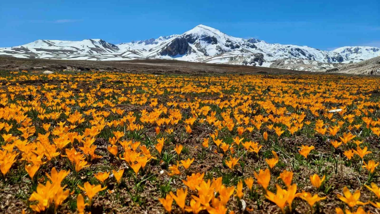 Yüksek rakımlı Geyik Dağları hayran bırakıyor