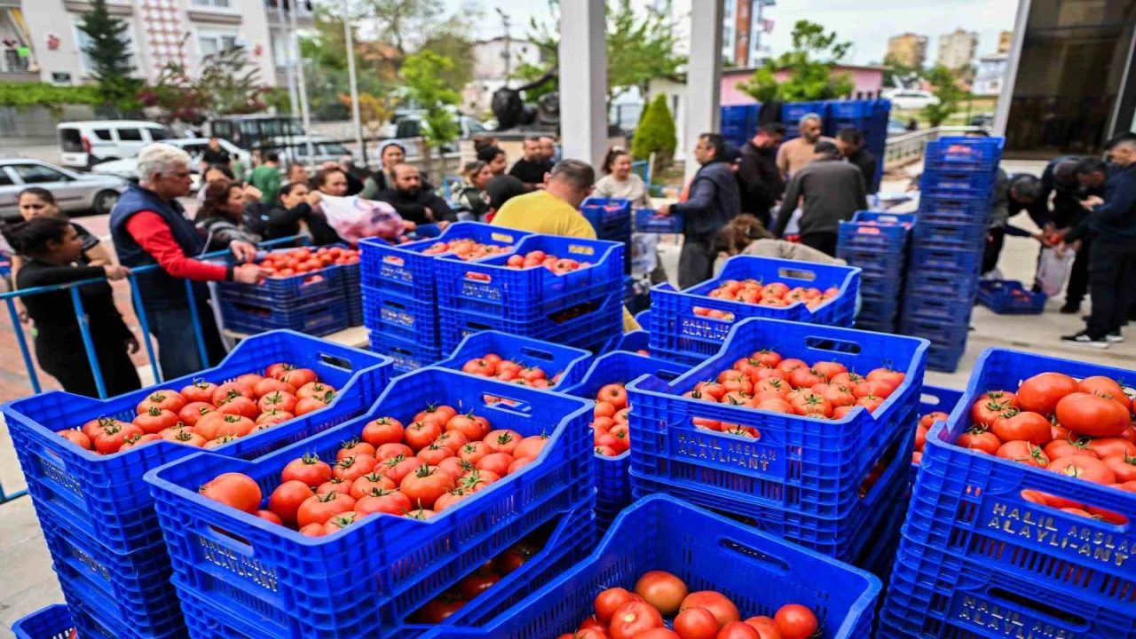 Zirai dona karşı Muratpaşadan 10 tonluk domates desteği