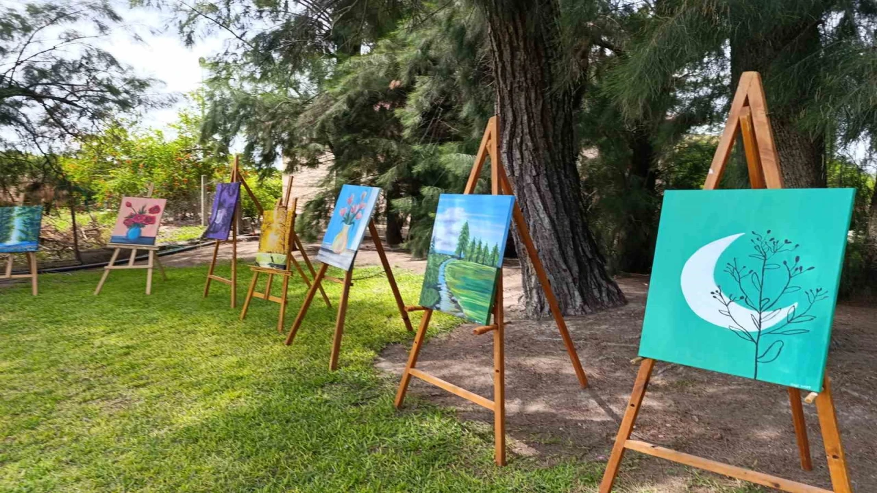 Adanada 13 yaşındaki ikizler sergi açtı