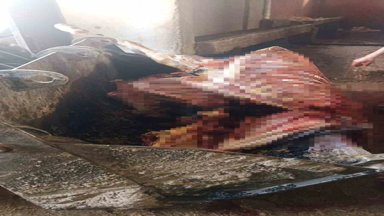 Adanada 2,5 ton at eti ele geçirildi