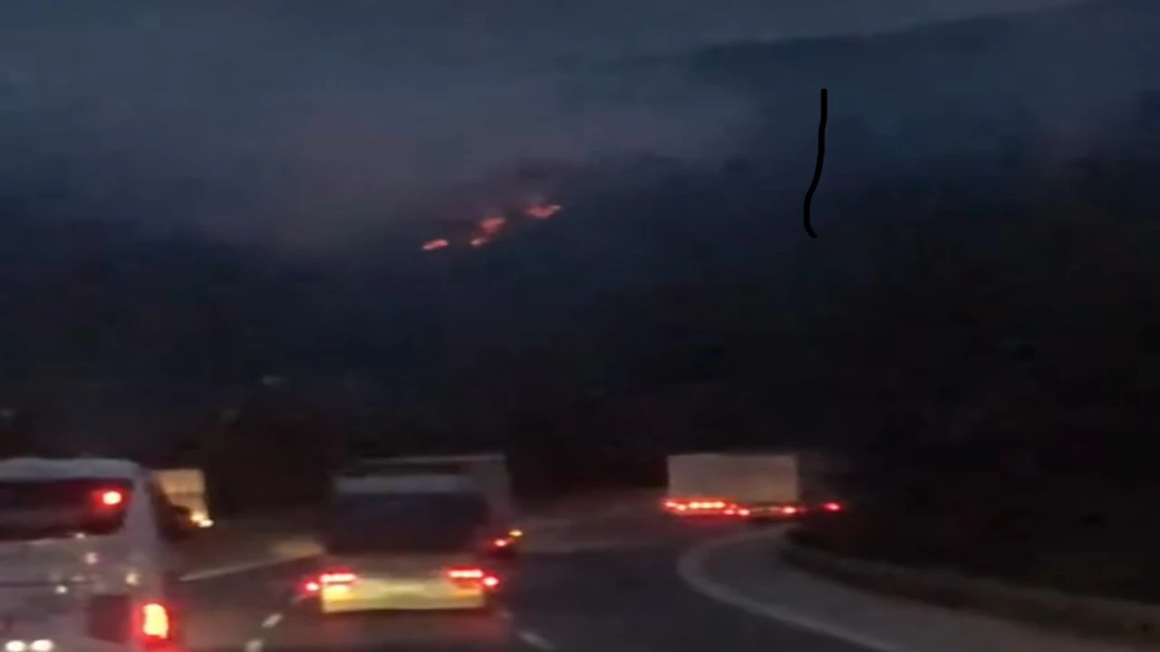 Adanada iki noktada çıkan orman yangınları kontrol altına alındı