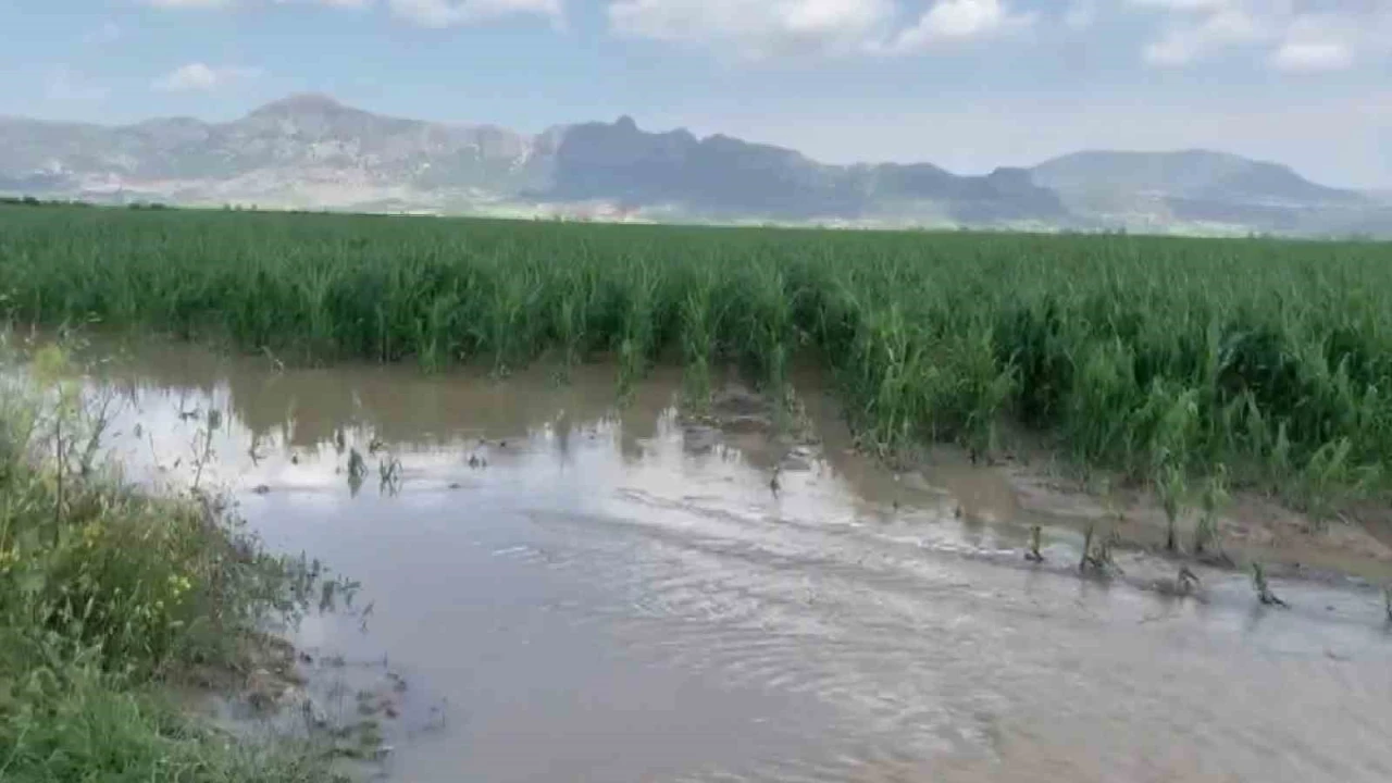 Adanada şiddetli yağmur ve dolu, tarım ürünlerine zarar verdi