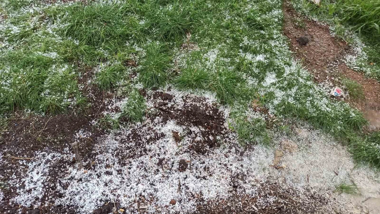 Afşinde dolu tarım arazilerine zarar verdi