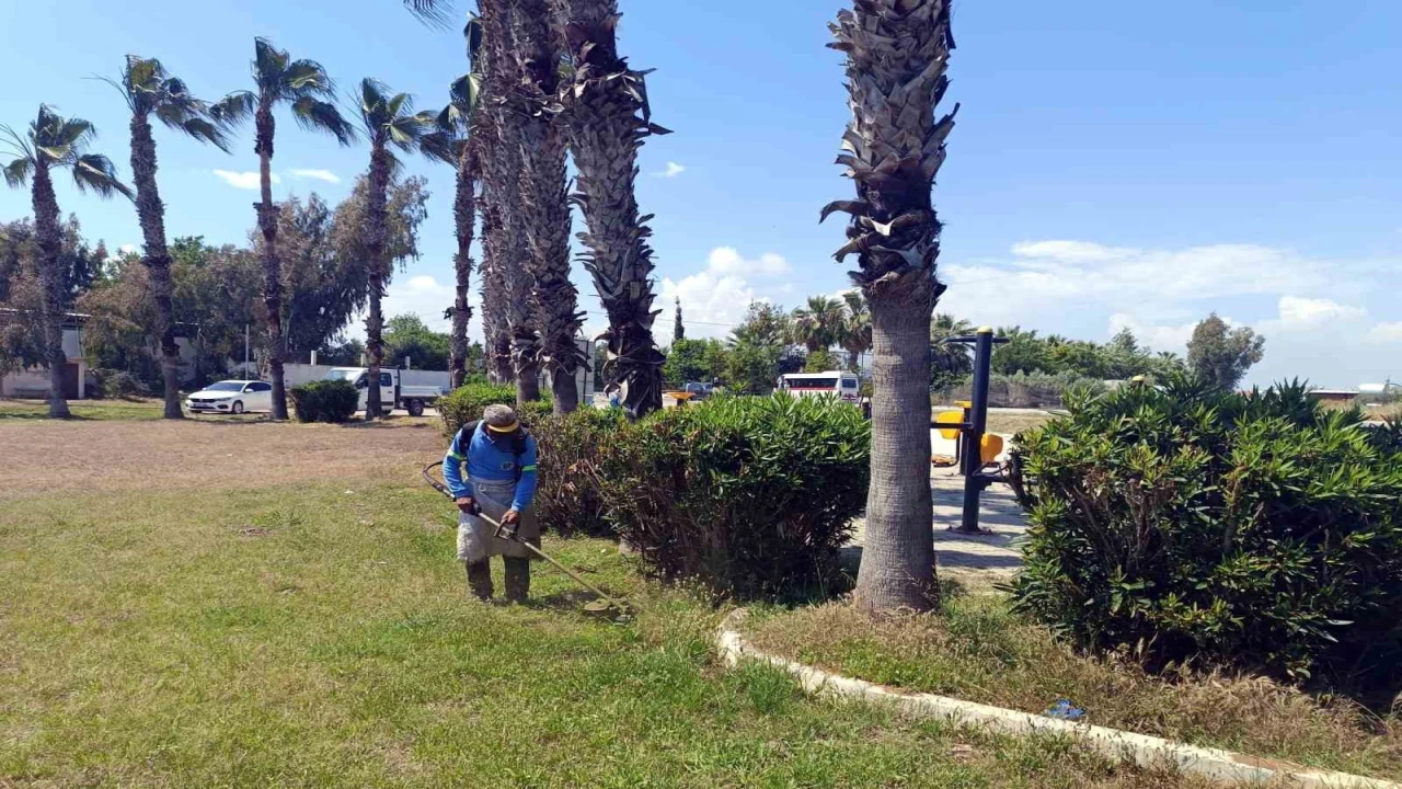 Akdenizde park ve bahçelere yaz bakımı