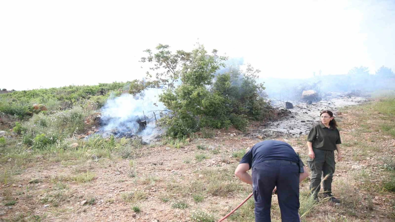 Alanyada makilik alanda yangın