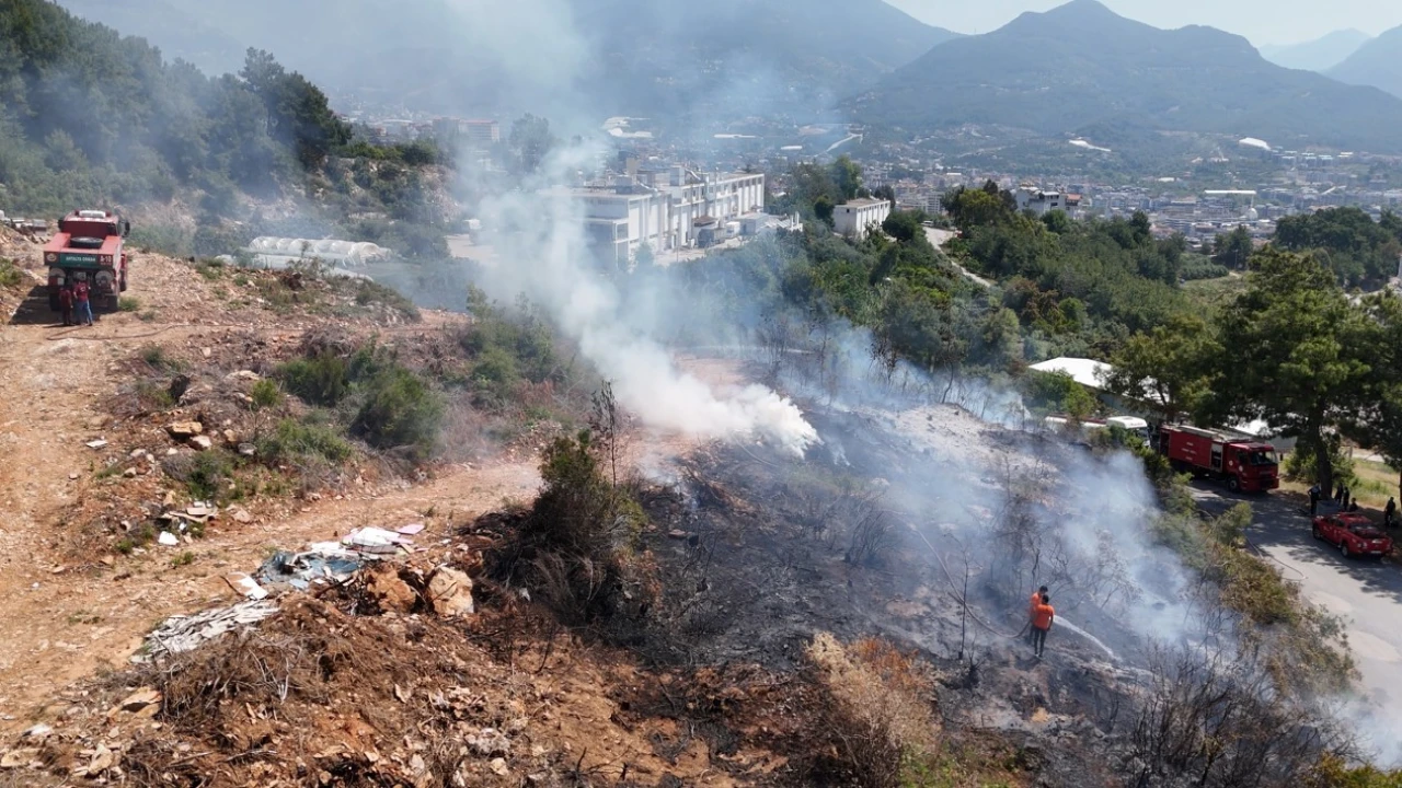 Alanyada makilik alandaki yangın ormana sıçramadan söndürüldü