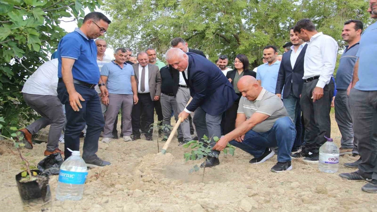 ALTSO keçiboynuzunun tescilini aldı, 3 bin fidan dağıttı