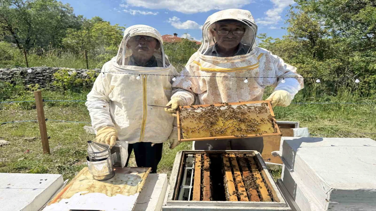 Antalyada arıcılar yeni sezona hazırlanıyor