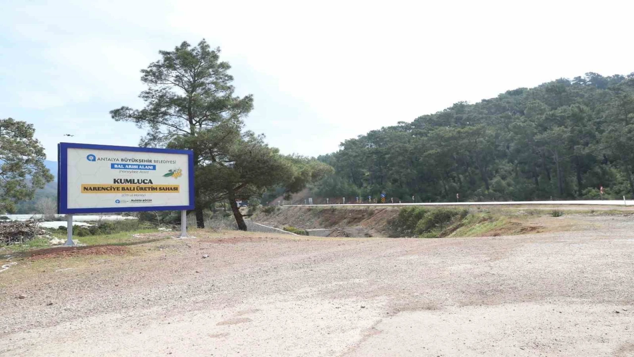 Antalyada narenciye balı için coğrafi işaret tescil çalışması