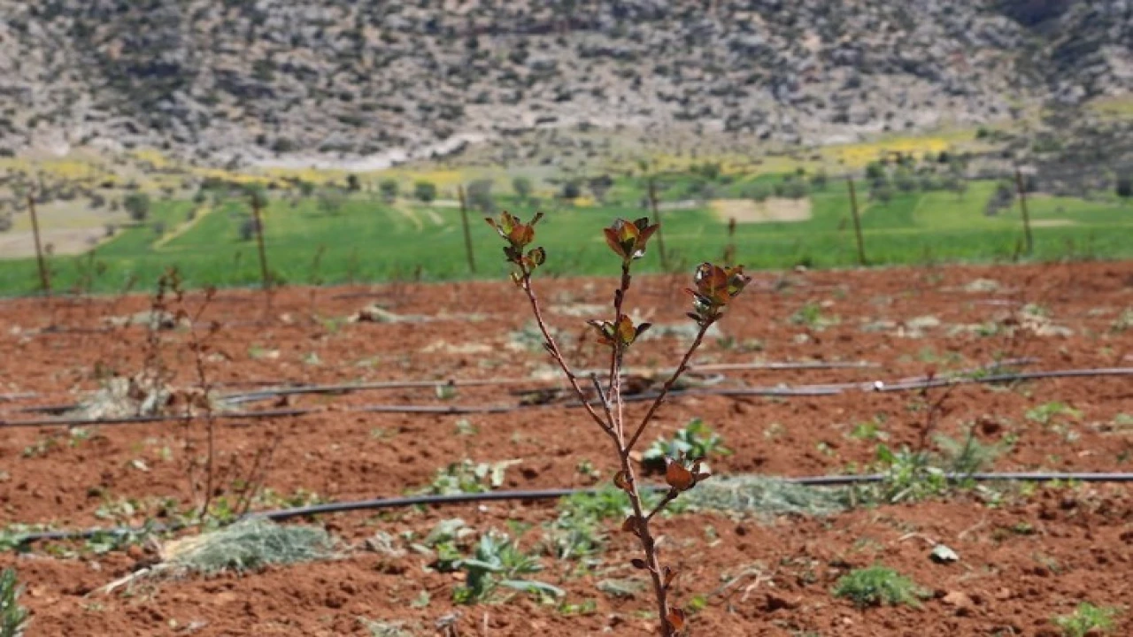 Antalyada tarımsal sulama projeleriyle tersine göç hızlandı