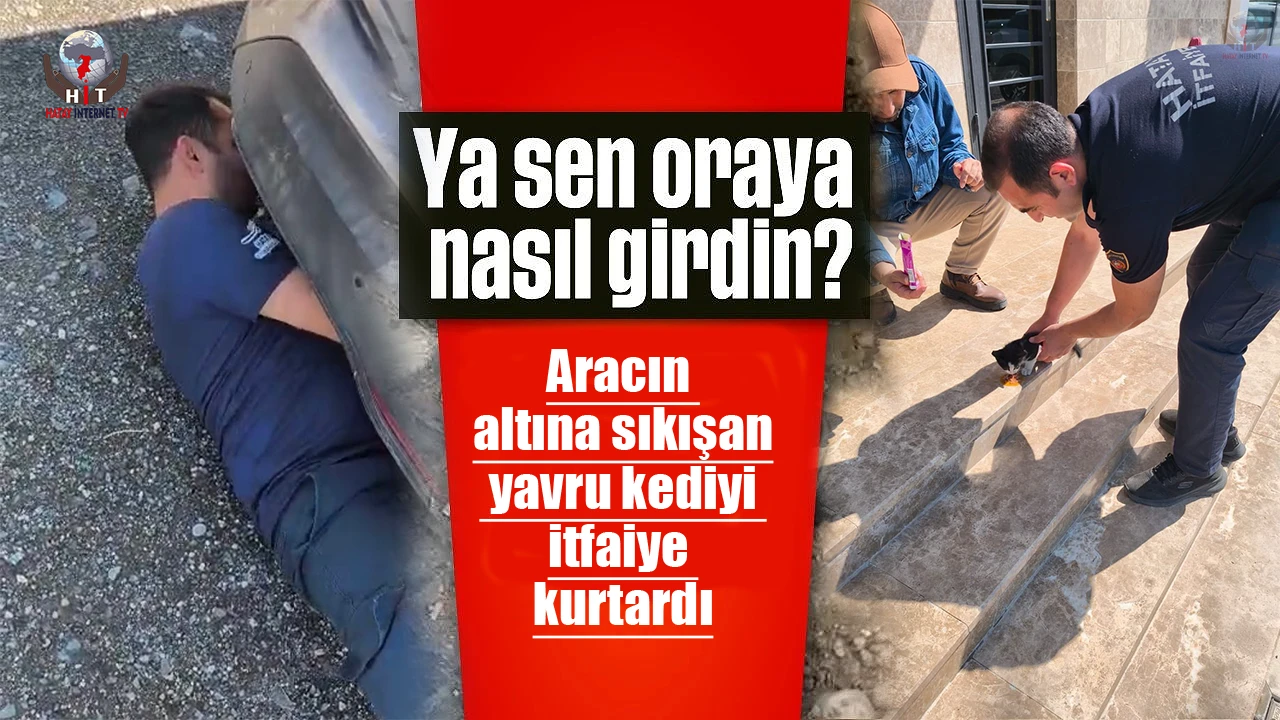 Aracın altına sıkışan yavru kediyi itfaiye kurtardı