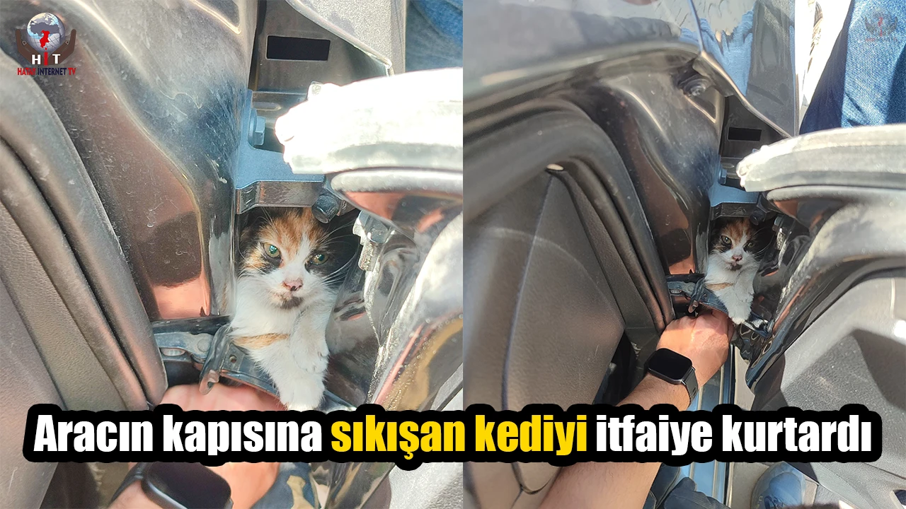 Aracın kapısına sıkışan kediyi itfaiye kurtardı