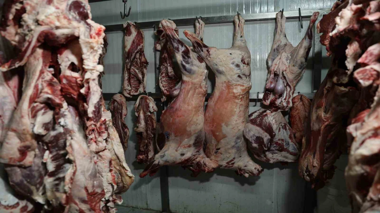 At ve eşek eti haberleri Adanalıları rahatsız etti