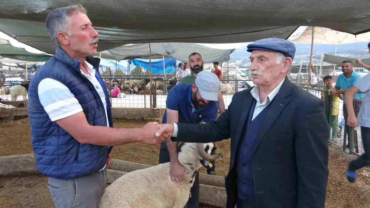 Bayram yaklaştı, kurban pazarında kıran kırana pazarlık başladı
