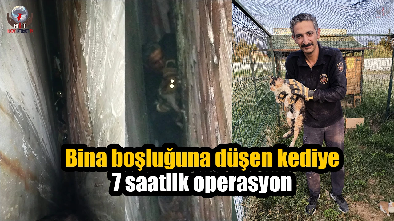 Bina boşluğuna düşen kedi, 7 saatlik operasyonla kurtarıldı