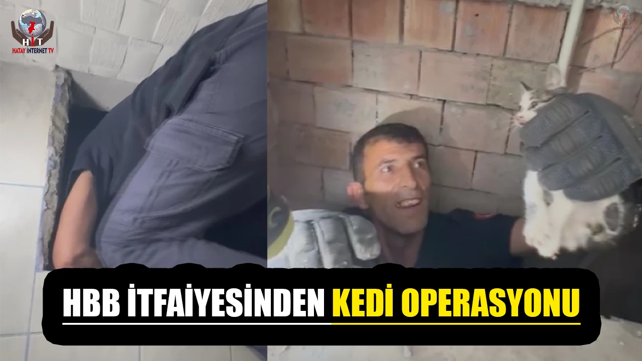 Bina boşluğuna düşen yavru kedi itfaiye ekiplerince kurtarıldı
