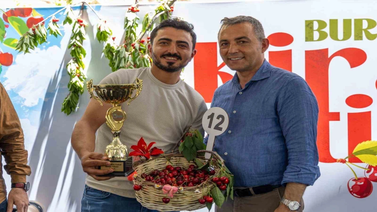 Burmahanda ilk kez kiraz festivali düzenlendi