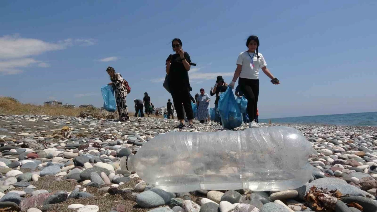 Caretta carettaların yuvalama alanları temizlendi