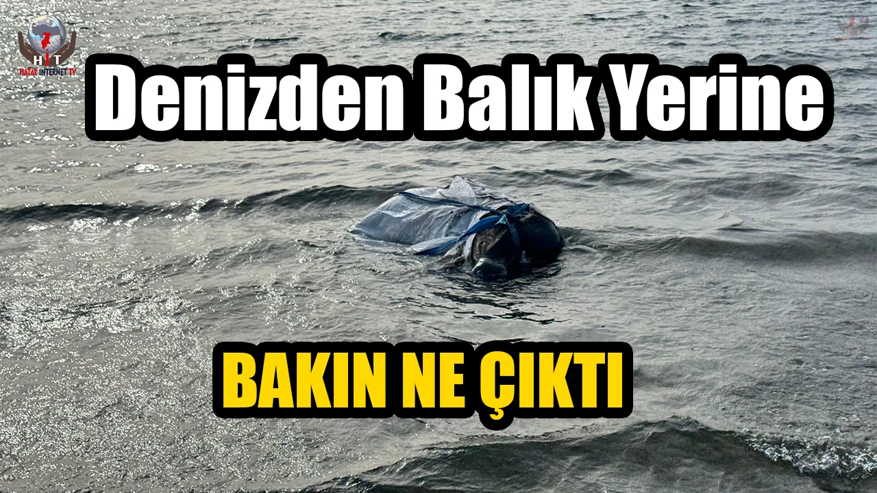 Denizden balık yerine angus çıktı