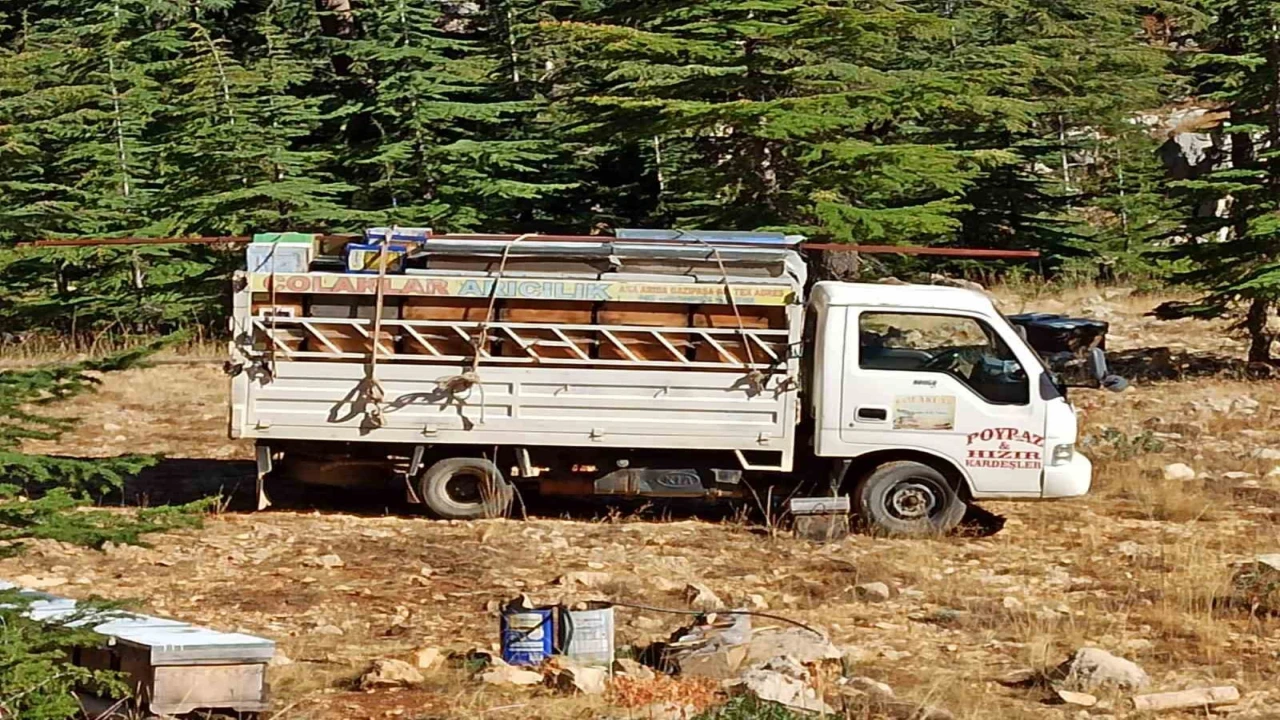 Gazipaşada arıcıların yayla mesaisi başlıyor