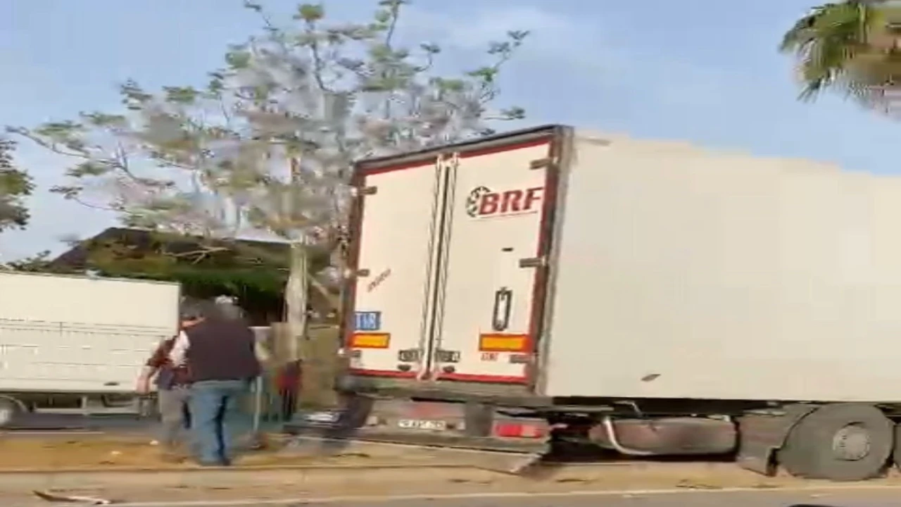 Gazipaşada sebze yüklü tır refüjdeki palmiye ağacına çarptı: 1 yaralı