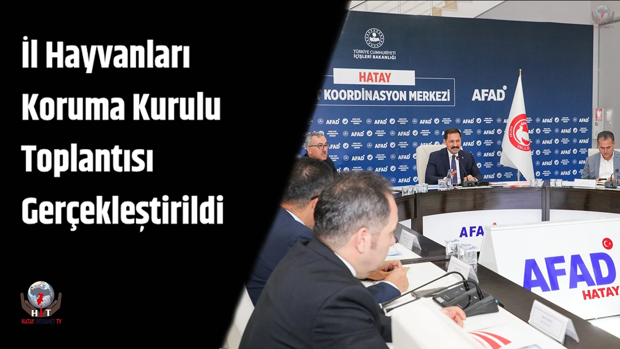 Hatayda hayvanları koruma kurulu toplantısı gerçekleştirildi