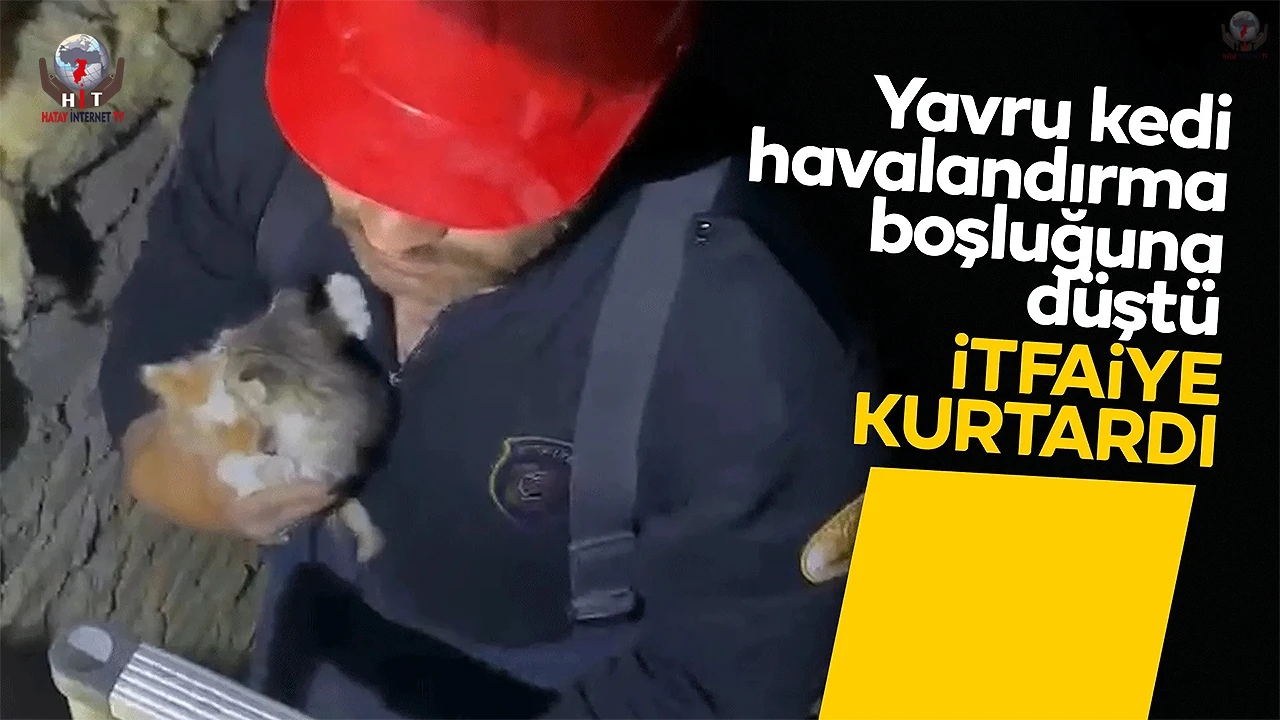 Havalandırma boşluğuna düşen kedi duvar kırılarak kurtarıldı