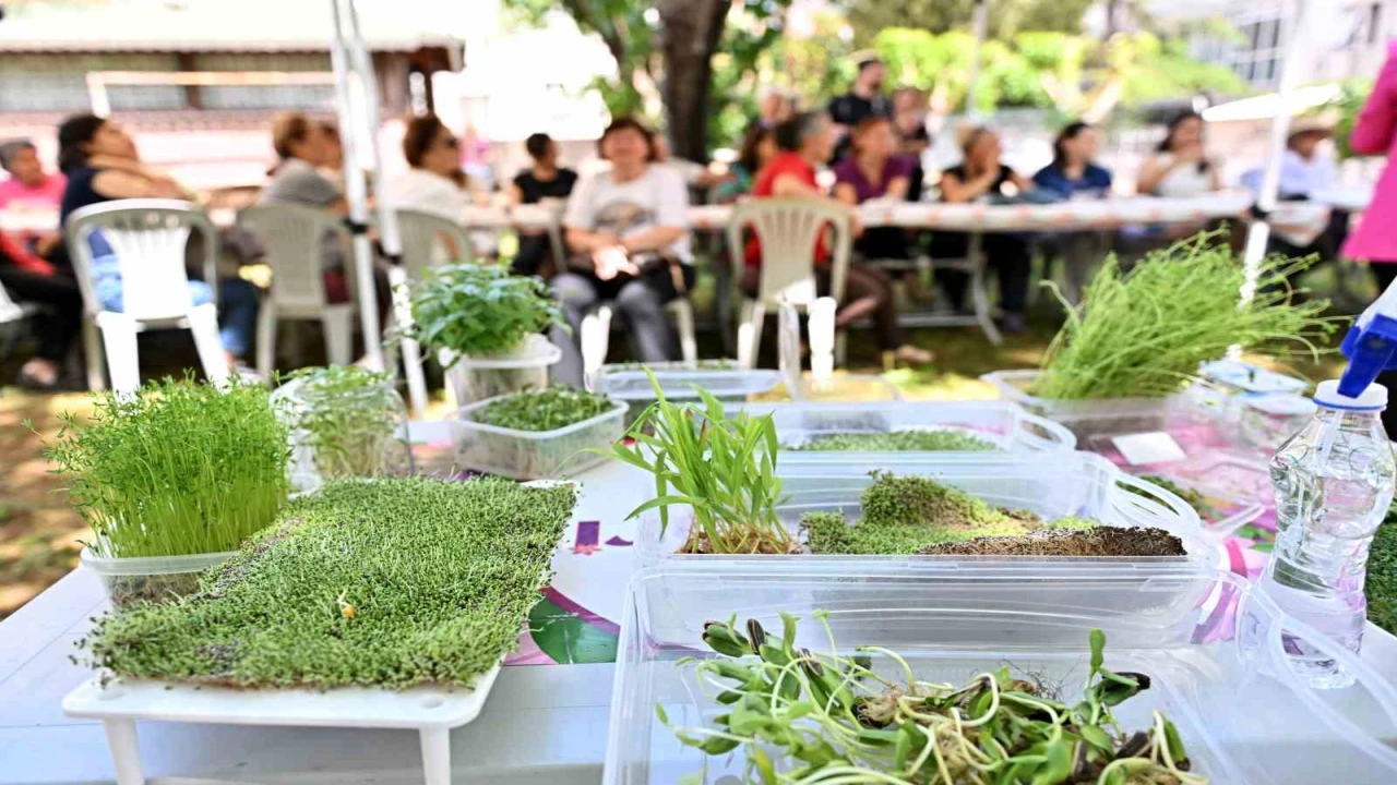 Heykeller yeşerdi, minyatür bahçeler ortaya çıktı