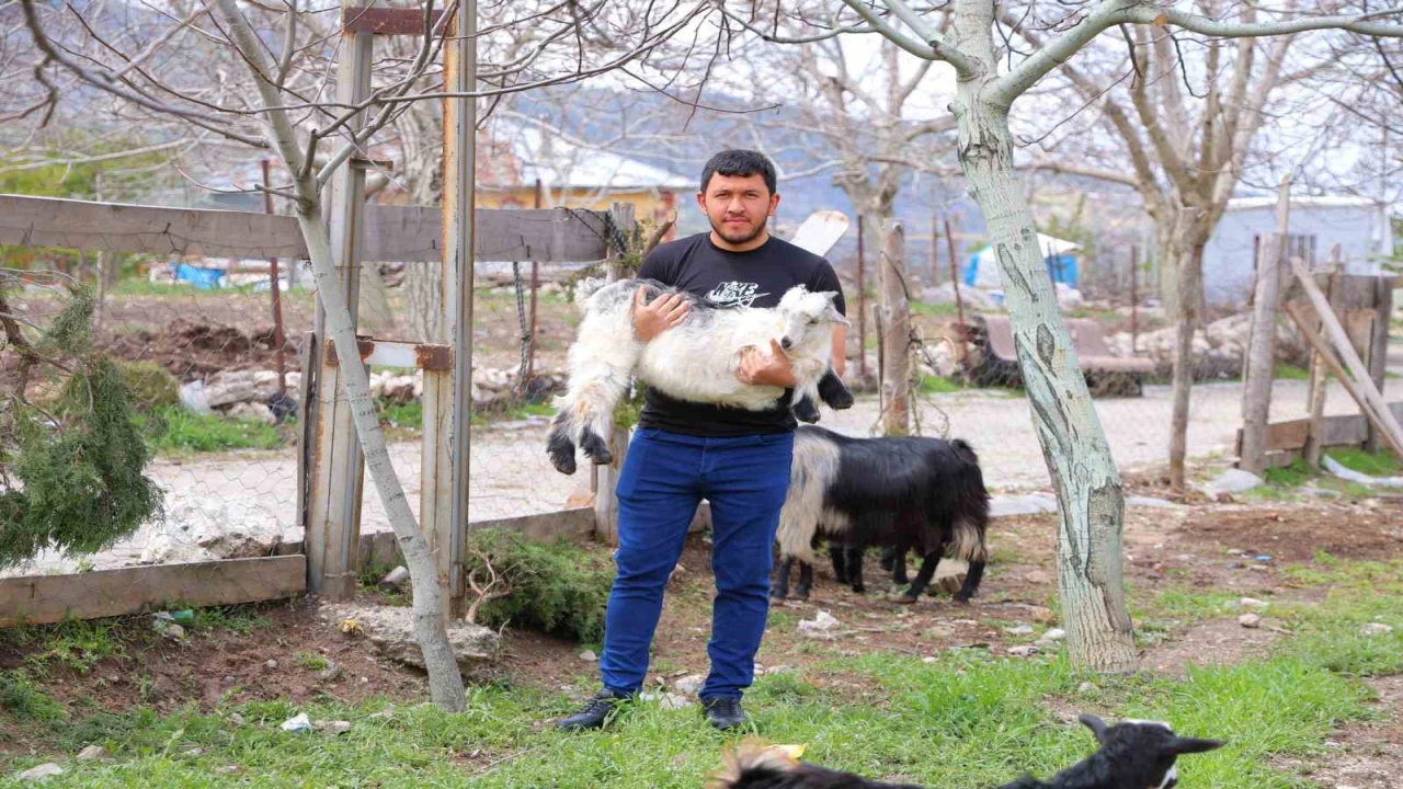 Kahramanmaraşta cevizi don vurunca, üreticileri farklı alanlara yöneldi