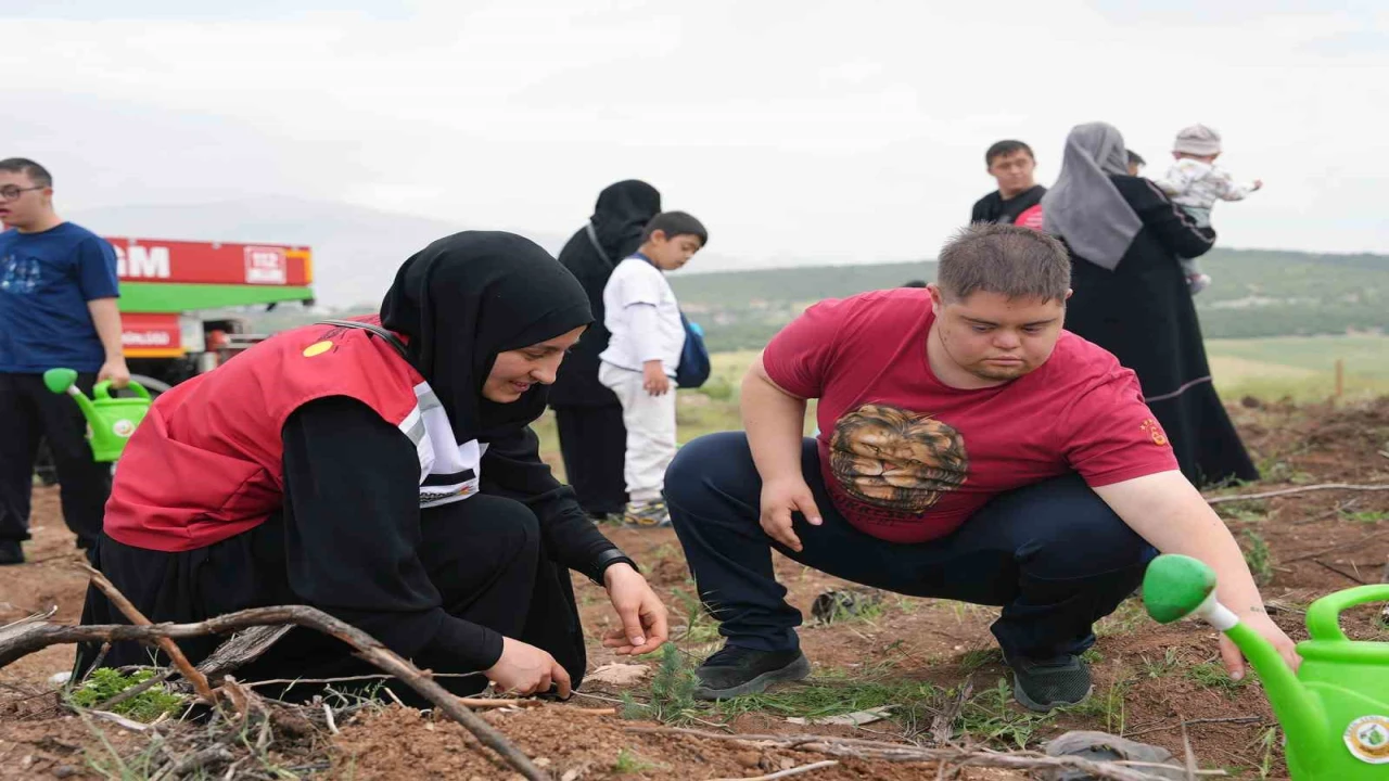 Kahramanmaraşta engelsiz orman
