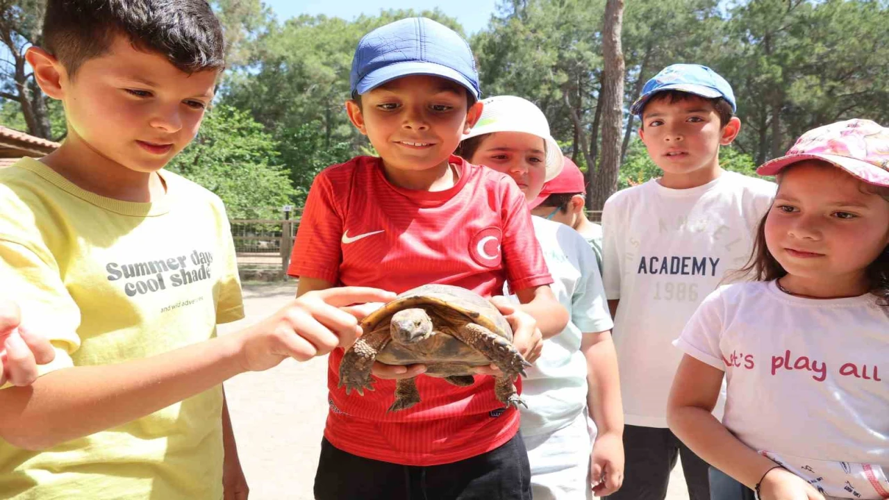 Kaplumbağaları inceleyip hem öğrendiler hem eğlendiler