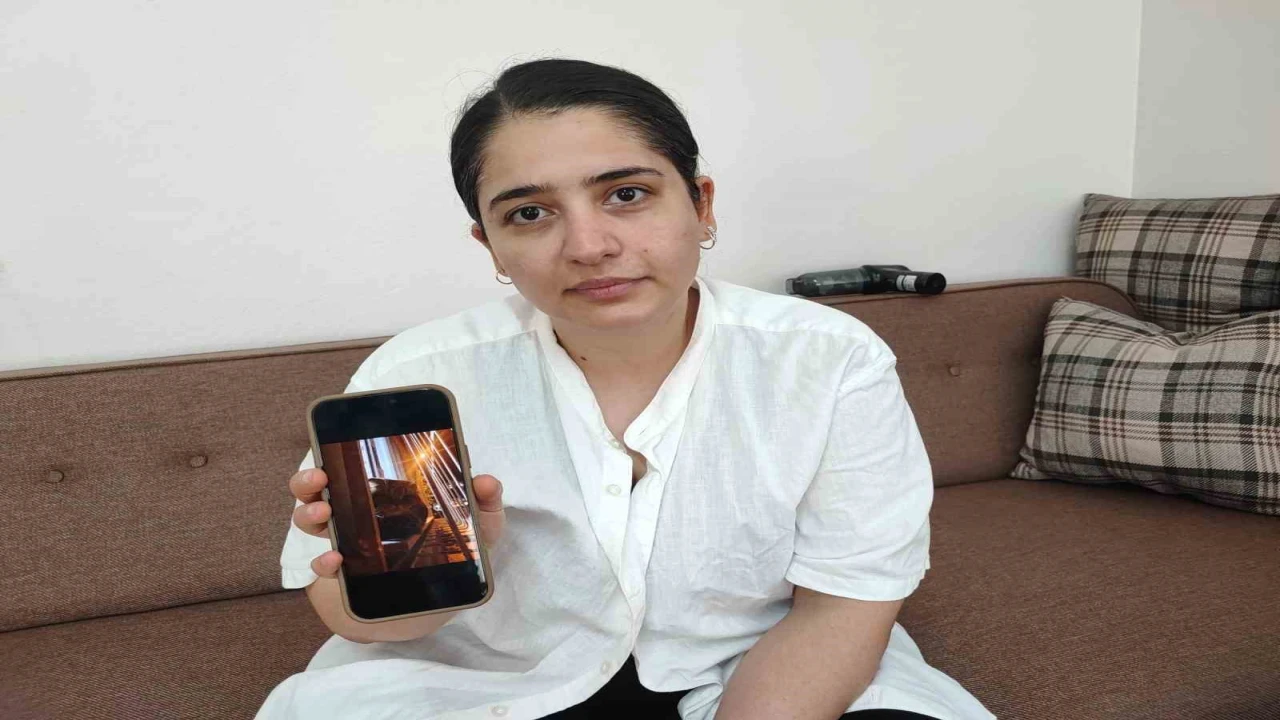 Kayıp kedi bulunmazsa kocası boşayacak