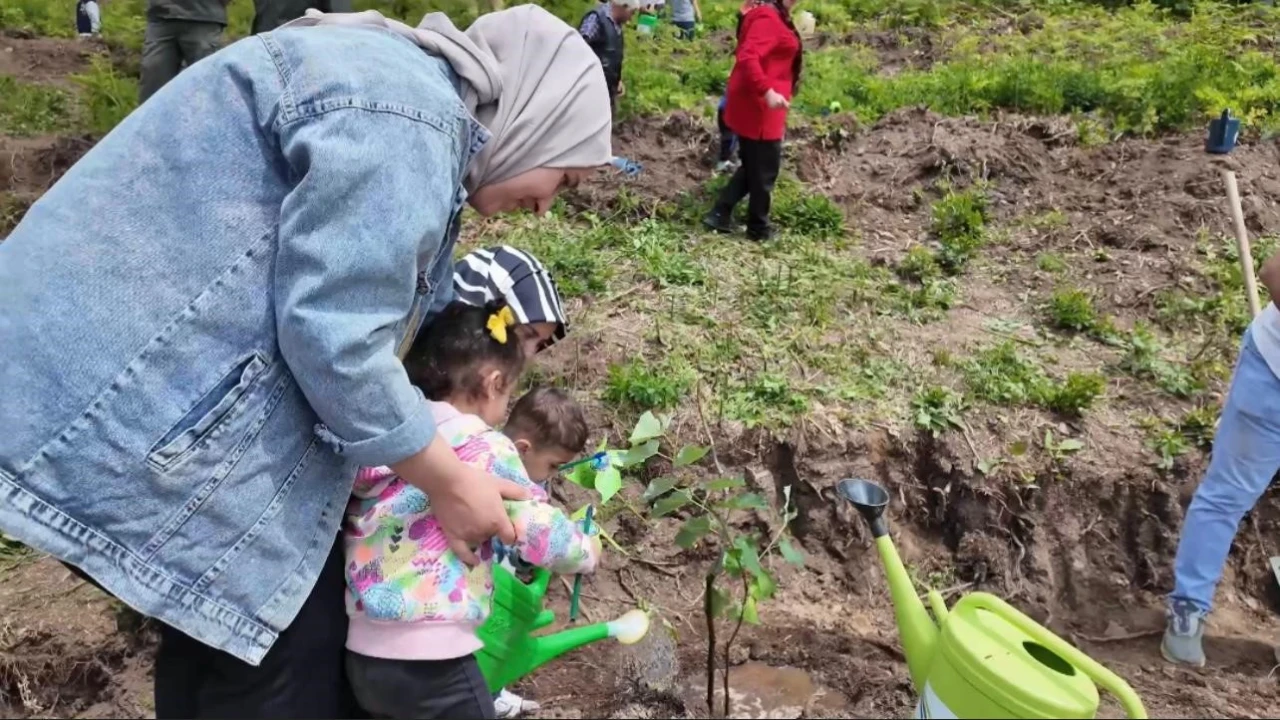 Koruyucu aileler adına 250 ıhlamur fidanı toprakla buluştu
