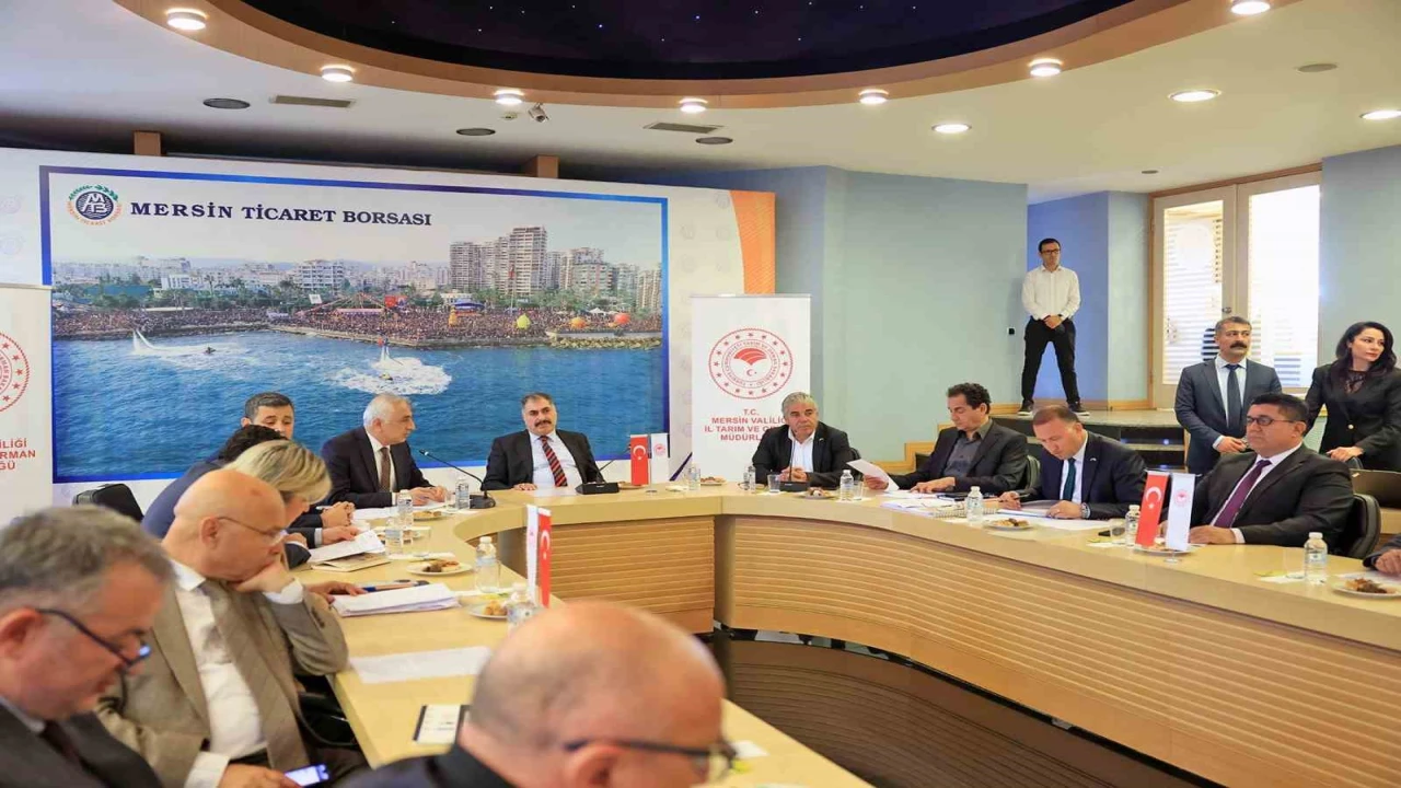 Mersin, Kuraklık Yönetim Planını hazırlıyor