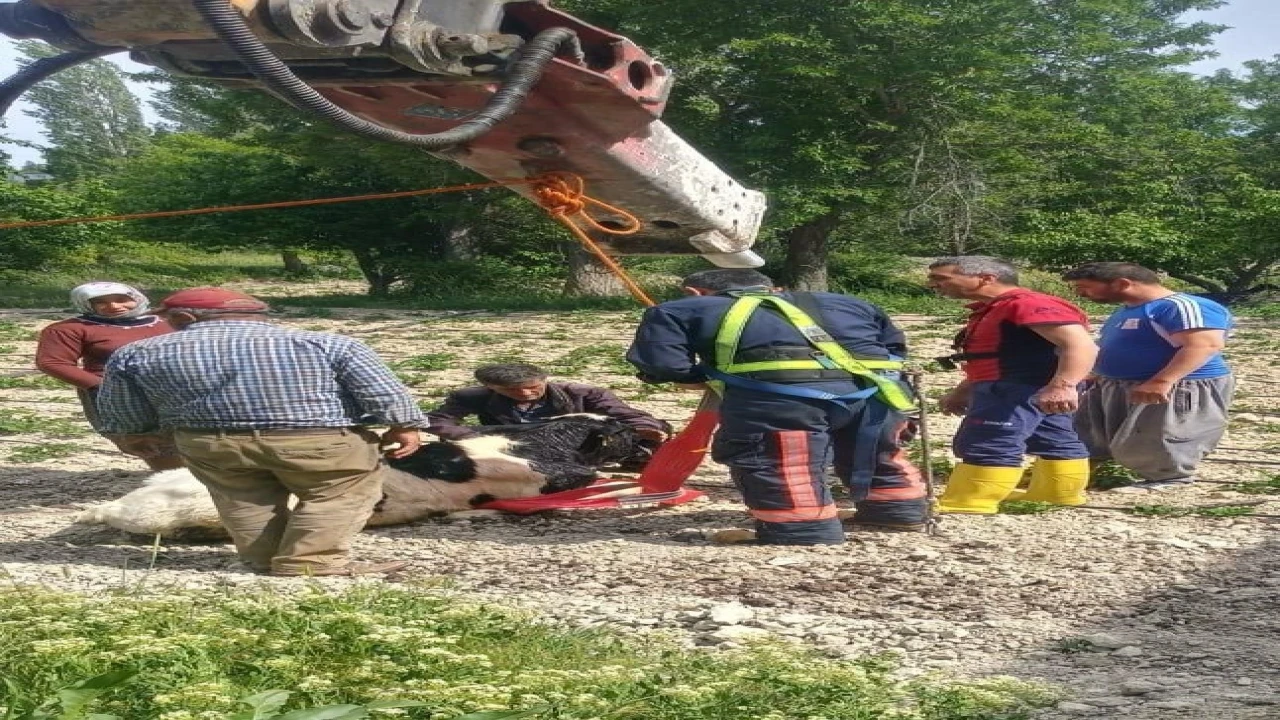 Mersinde 10 metrelik su kuyusuna düşen danayı itfaiye kurtardı