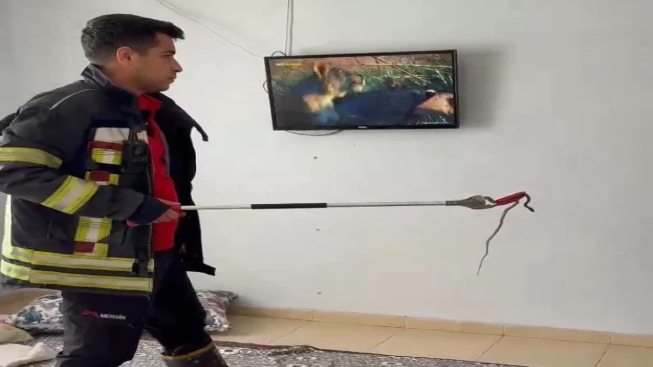 Mersinde 2 gün önce eve giren yılanı itfaiye erleri bulup çıkarttı