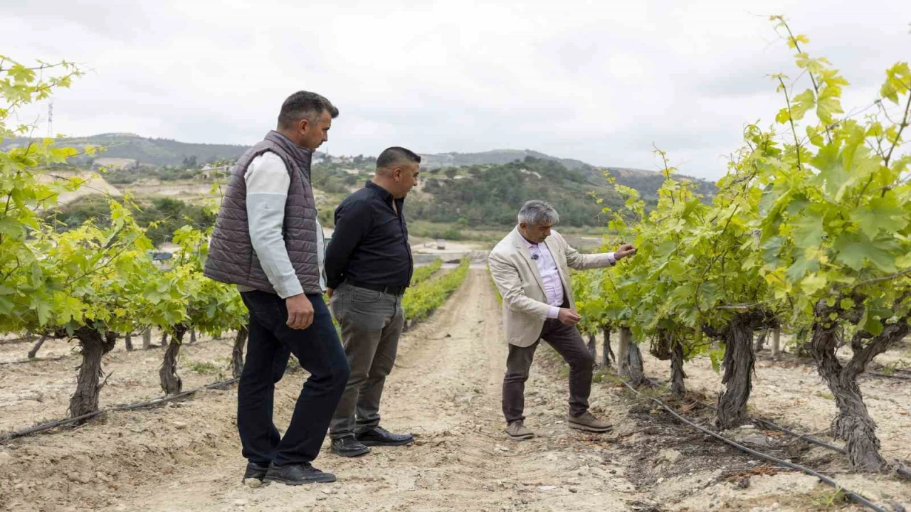 Mersinde üreticilere damlama sulama sistemi anlatılıyor