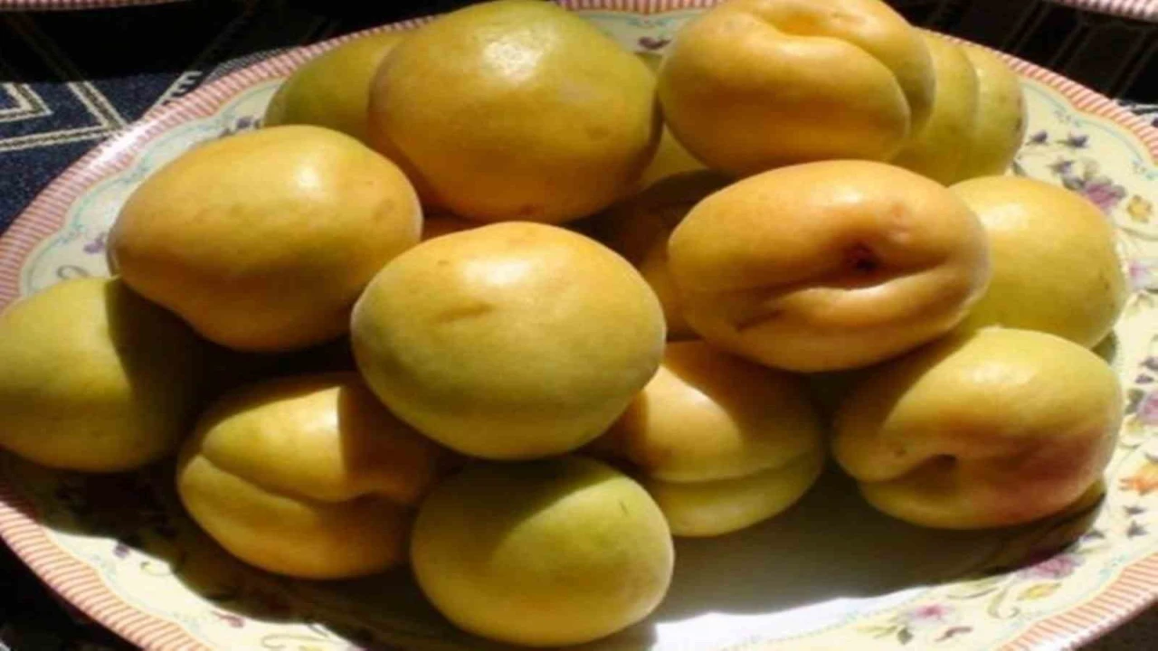 Mut Karacaoğlan Kayısı Kültür ve Sanat Festivali 30 Mayısta